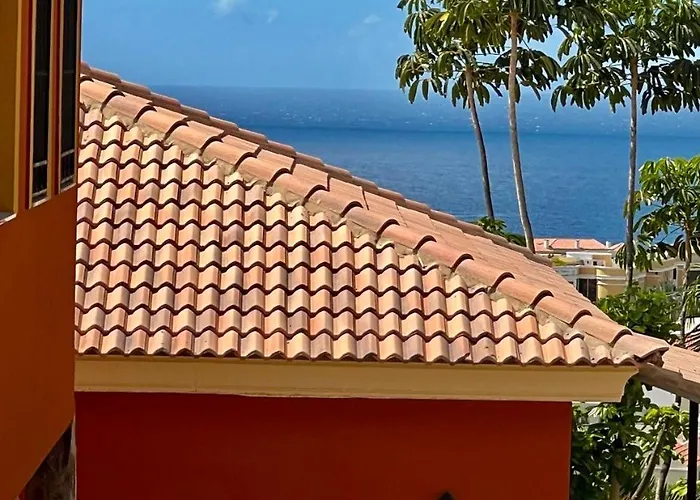 公寓 Wonderful With Ocean View! Madronal. Tenerife South! *
